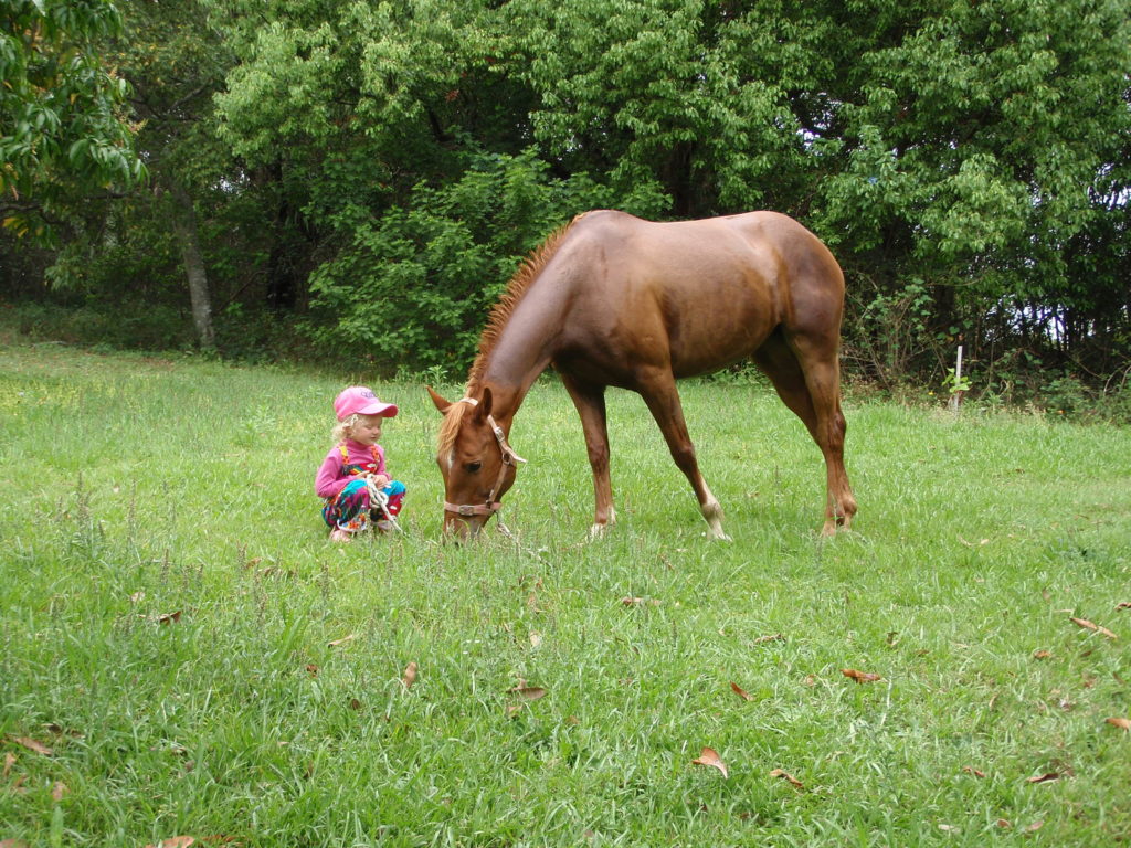 Lilly’s Equestrian Journey